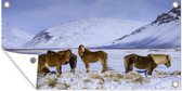 Tuinposter Besneeuwde bergen met IJslander paarden - 60x30 cm - Tuindoek - Buitenposter