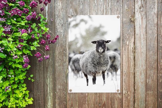 Décoration de jardin Moutons - Neige - Hiver - 40x60 cm - Poster jardin - Toile jardin - Poster extérieur