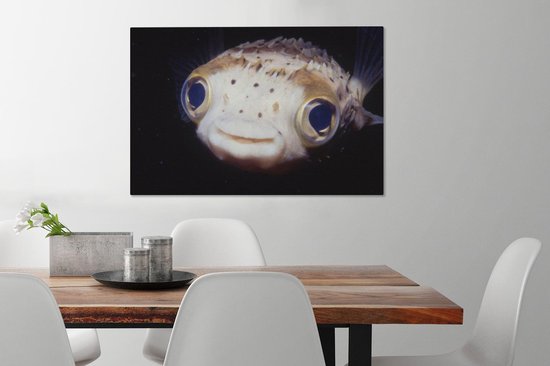 Gros plan poisson-globe 60x40 cm - Tirage photo sur toile (Décoration murale salon / chambre) / Peintures sur toile animaux sauvages