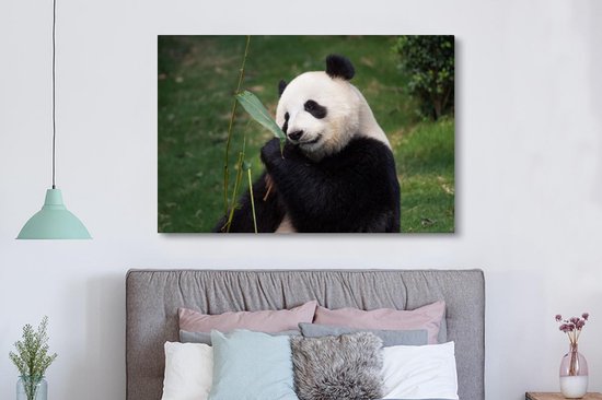 Panda mangeant les feuilles de bambou 180x120 cm - Tirage photo sur toile (Décoration murale salon / chambre) / Animaux sauvages Peintures sur toile XXL / Groot format!