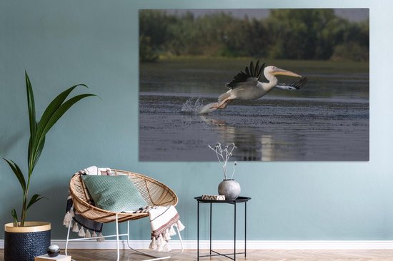 Pelican en Roumanie 180x120 cm - Tirage photo sur Toile (Décoration murale salon / chambre) / Animaux sauvages Peintures sur toile XXL / Groot format!