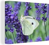 Canvas Schilderij Vlinder koolwitje met lavendel - 80x60 cm - Wanddecoratie
