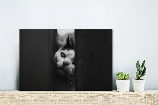 Profil animalier tricherie chat en toile noir et blanc 2cm 30x20 cm - petit - Tirage photo sur toile (Décoration murale salon / chambre)