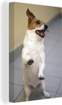 Canvas schilderij 90x140 cm - Wanddecoratie Staande Jack Russel hond - Muurdecoratie woonkamer - Slaapkamer decoratie - Kamer accessoires - Schilderijen