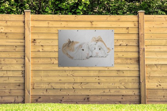 Une illustration de poster de jardin cochons d'Inde aux cheveux longs 120x80 cm - Toile de jardin / Toile d'extérieur / Peintures d'extérieur (décoration de jardin)