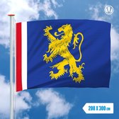 Vlag Leeuwarden 200x300cm