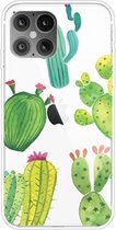 Voor iPhone 12 Pro Max schokbestendig geverfd transparant TPU beschermhoes (cactus)