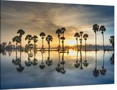 Zon komt op achter de palmen - Foto op Canvas - 90 x 60 cm