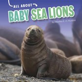 Oh Baby! - All About Baby Sea Lions