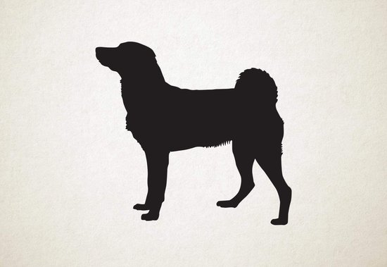 Silhouette hond - Appenzeller Sennenhund - Appenzeller Sennenhund - L - 75x80cm - Zwart - wanddecoratie