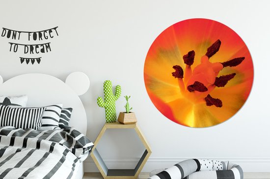 Un gros plan d'une tulp orange avec le pistil Wall cercle aluminium ⌀ 140 cm