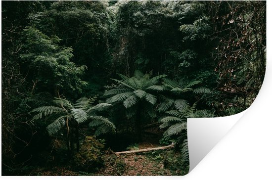 Stickers muraux - Film autocollant - Fougères dans la forêt tropicale japonaise - 30x20 cm - Film adhésif - Stickers muraux Chambre d'enfant - Papier peint autocollant - Papier peint autocollant - Film autocollant