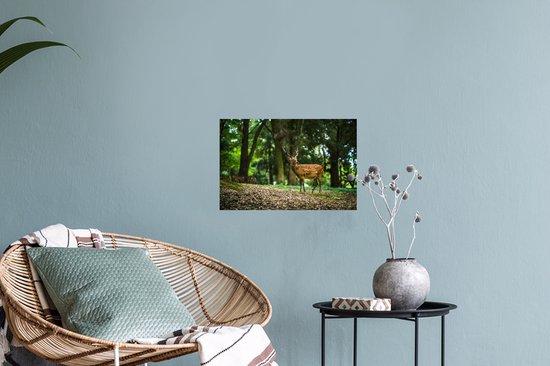 Stickers muraux - Film autocollant - Cerf - Forêt - Animal - 30x20 cm - Film adhésif - Stickers muraux Chambre d'enfant - Papier peint autocollant