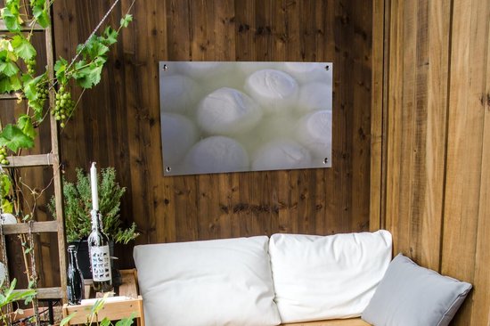 Mozzarella est immergé dans l'affiche de jardin d'eau 90x60 cm - Toile de jardin / Toile d'extérieur / Peintures pour l'extérieur (décoration de jardin)