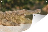 Muurdecoratie Krokodil - Tanden - Reptielen - 180x120 cm - Tuinposter - Tuindoek - Buitenposter