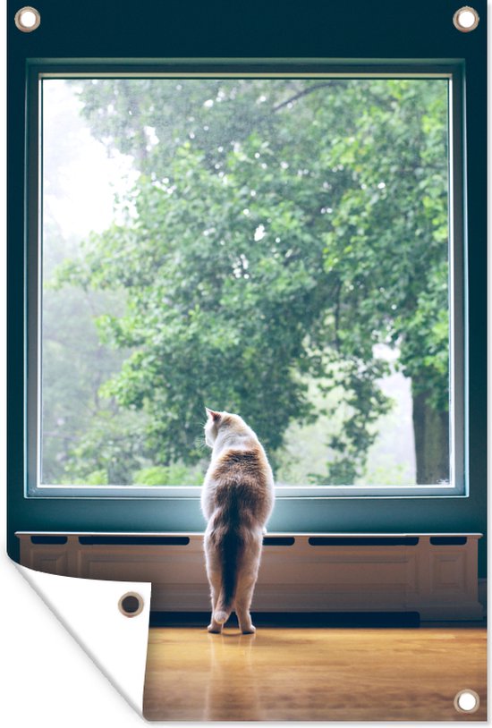 Tuinposters buiten Kat - Raam - Planten - 60x90 cm - Tuindoek - Buitenposter