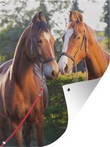 Muurdecoratie buiten Paarden - Gras - Marwari - 120x160 cm - Tuindoek - Buitenposter