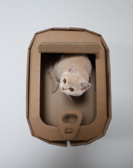 Sijpelen Boodschapper variabel Kartonnen Kattenmand als Sardientjes blik - Duurzaam Karton - Hobbykarton -  KarTent | bol.com
