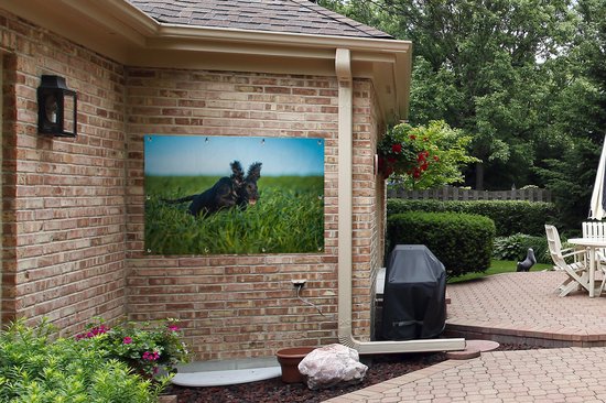 Affiche de jardin Un cocker anglais de couleur noire dans l'herbe verte 120x80 cm - Toile de jardin / Toile d'extérieur / Peintures pour l'extérieur (décoration de jardin)