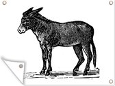 Tuinschilderij Een illustratie van een zwarte ezel - 80x60 cm - Tuinposter - Tuindoek - Buitenposter