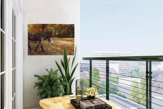 Âne marchant à travers les feuilles d'automne affiche de jardin toile en vrac 60x40 cm - petit - toile de jardin / toile d'extérieur / Peintures pour l'extérieur (décoration de jardin)