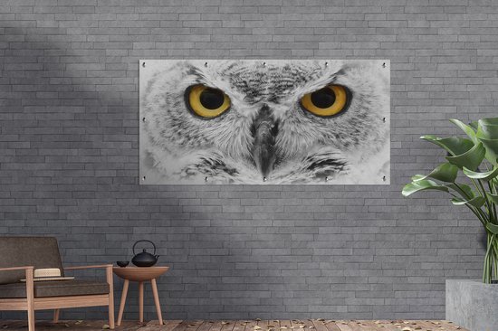 Décoration murale Gros plan d'un grand-duc d'Europe - 180x120 cm - Poster jardin - Toile jardin - Poster extérieur