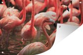 Tuinposter - Tuindoek - Tuinposters buiten - Groep flamingo's in het water van dichtbij - 120x80 cm - Tuin