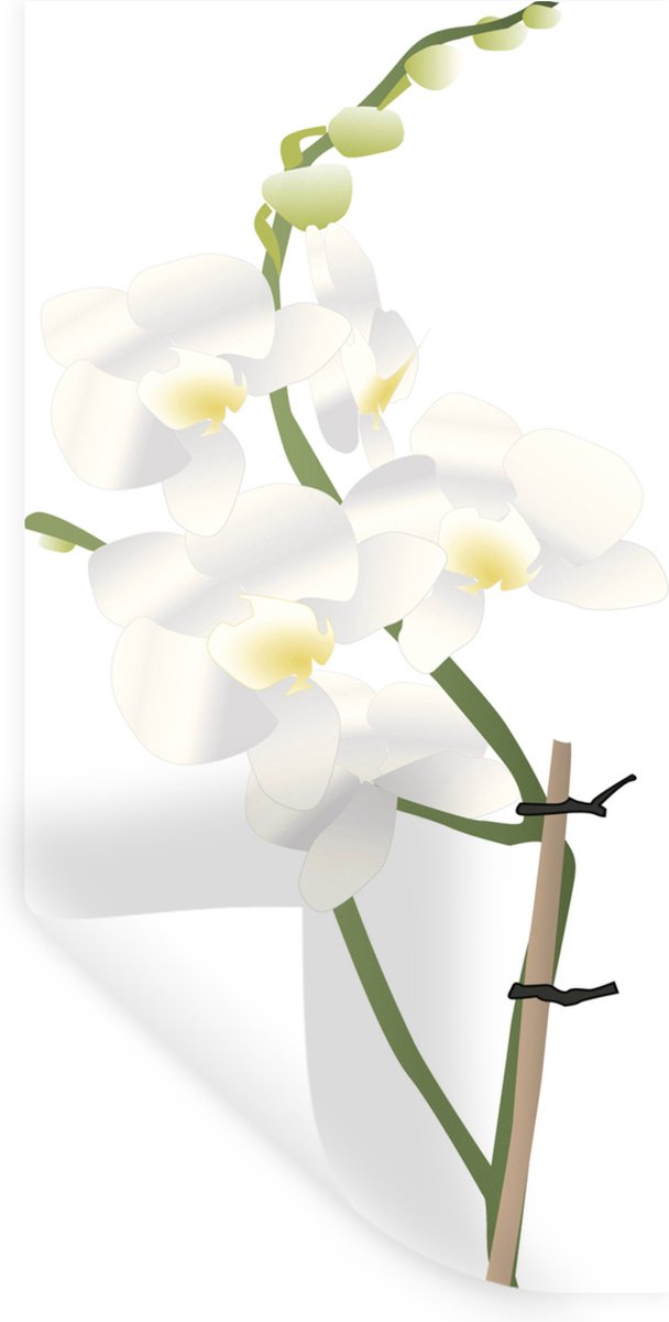 Muurstickers - Sticker Folie - Geïllustreerde orchidee bloem - 20x40 cm - Plakfolie - Muur