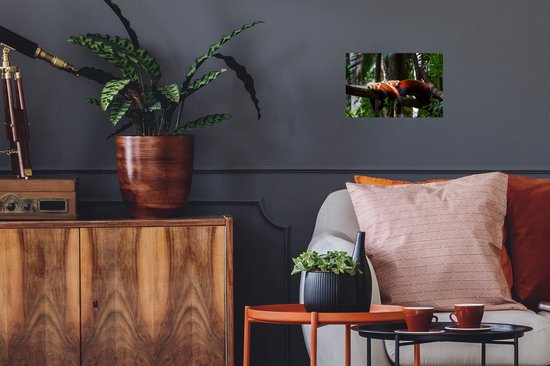 Sticker Muursticker Pandas rouges - Pandas rouges reçus - 30x20 cm - feuille autocollante - sticker mural repositionnable