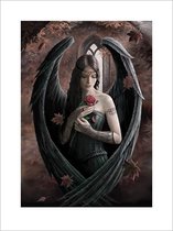 Pyramid Anne Stokes Angel Rose Kunstdruk 60x80cm Poster - 60x80cm