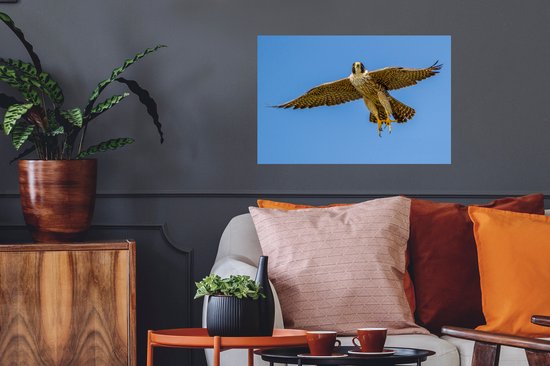 Stickers Stickers muraux - Faucon pèlerin - Ciel - Oiseau de proie - 60x40 cm - Film adhésif