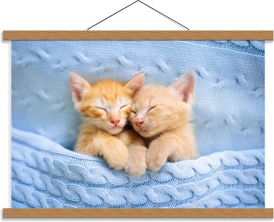 Schoolplaat – Slapende Oranje Kittens onder Blauw Dekentje - 60x40cm Foto op Textielposter (Wanddecoratie op Schoolplaat)