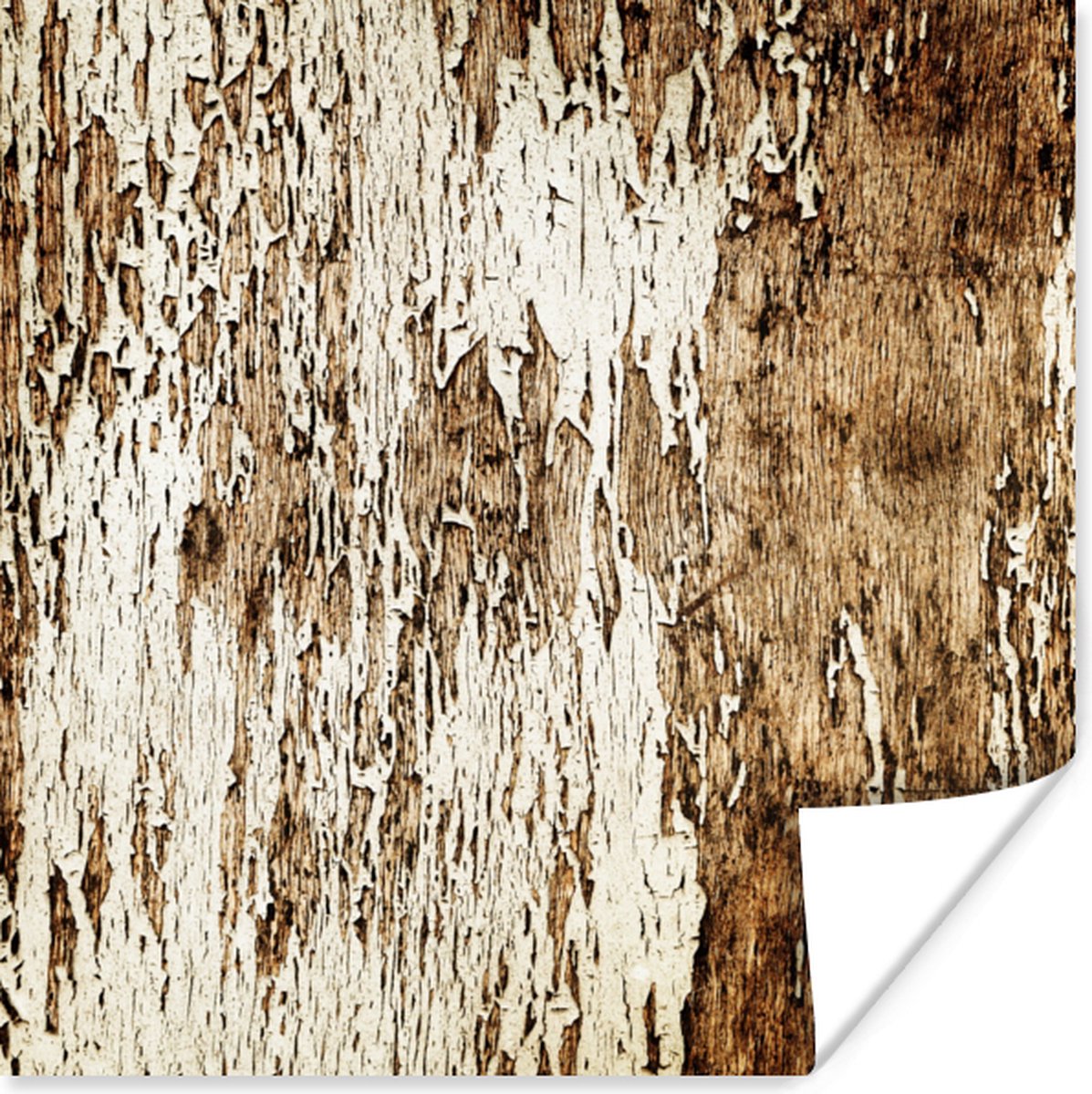 Poster Hout - Rustiek - Boom - 30x30 cm