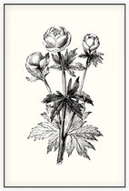 Globebloem Trollius zwart-wit (Globe Flower) - Foto op Akoestisch paneel - 100 x 150 cm