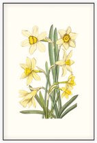 Gele Narcis Aquarel (Daffodil) - Foto op Akoestisch paneel - 80 x 120 cm