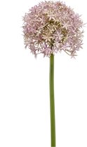 Woonexpress - Kunstbloem Allium Paars - Polyester Paars - 80x0x0cm (hxbxd)