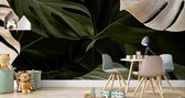 Fotobehang - Wit en groene monstera bladeren, premium print, inclusief behanglijm