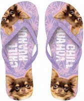 teenslippers Chihuahua rubber paars maat 40-42