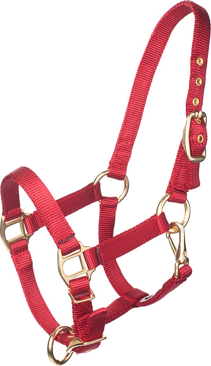 MHS Halster Fancy Rood Pony