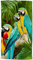 strandlaken Parrots 100 x 180 cm katoen groen/blauw