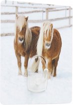 zelfklevende hanger paarden 9 cm polycarbonaat wit/bruin