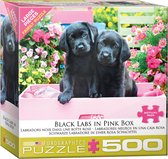 Eurographics Zwarte Labradors Pups in Roze Doos - 500 stukjes