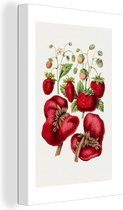 Canvas Schilderij Eten - Aardbeien - Fruit - 40x60 cm - Wanddecoratie