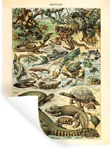 Stickers muraux - Animaux - Reptiles - Design - 30x40 cm - Film Adhésif