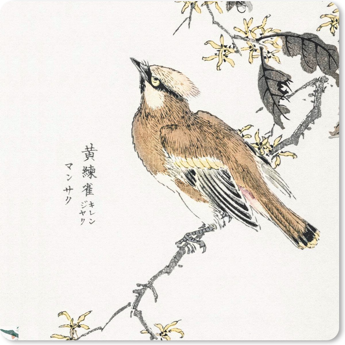 Muismat 20x20 cm - Mousepad Vogel - Tak - Tekens - Japans - Muismatten