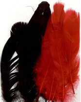 Vaessen Creative Feathers long - 15,5-20cm - 15stuks - gala