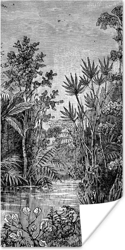 Poster Jungle - Water - Planten - 20x40 cm
