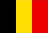 supportersvlag 60 x 90 cm polyester zwart/geel/rood