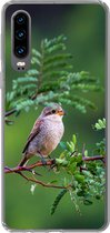 Geschikt voor Huawei P30 hoesje - Vogel - Boom - Bos - Siliconen Telefoonhoesje