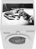 Wasmachine beschermer mat - Kittens - Bank - Zwart - Wit - Breedte 55 cm x hoogte 45 cm